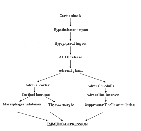 The different nature of stress